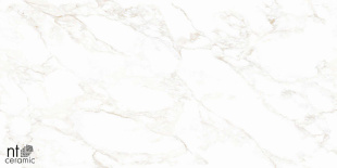 Керамогранит NT Ceramic Marmo Marble Extra Endless Mat арт. NTT99526M (60x120) матовый